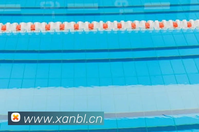 多多国际app下载官网服务体系